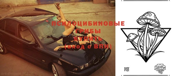 меф Алексин