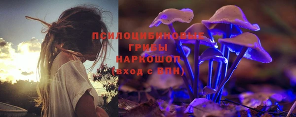трава Алзамай