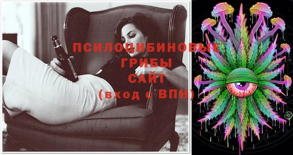 apvp Алексеевка